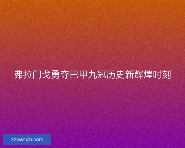 弗拉门戈勇夺巴甲九冠历史新辉煌时刻